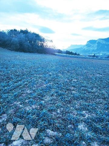 CURBANS Terrain à bâtir plat d'env.1 645 m² avec permis de construire pour maison T4 110 m² hab...