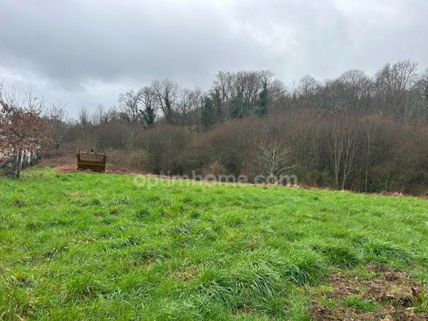 Bâtiment de 420m2 sur 2,9 hectares de terrain et bois.