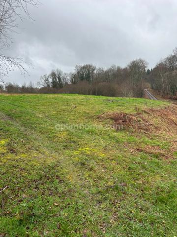 Bâtiment de 420m2 sur 2,9 hectares de terrain et bois.