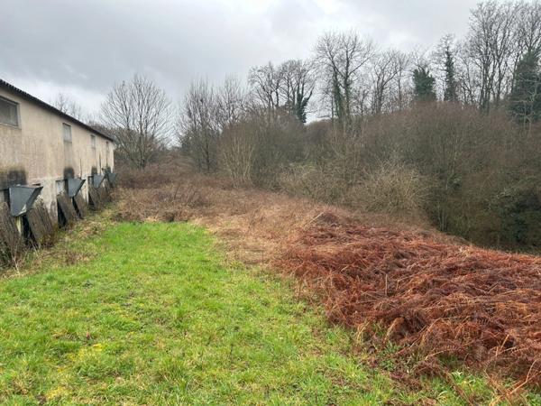 Bâtiment de 420m2 sur 2,9 hectares de terrain et bois.