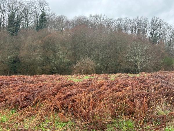 Bâtiment de 420m2 sur 2,9 hectares de terrain et bois.