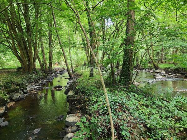 Maison rénovée avec du charme