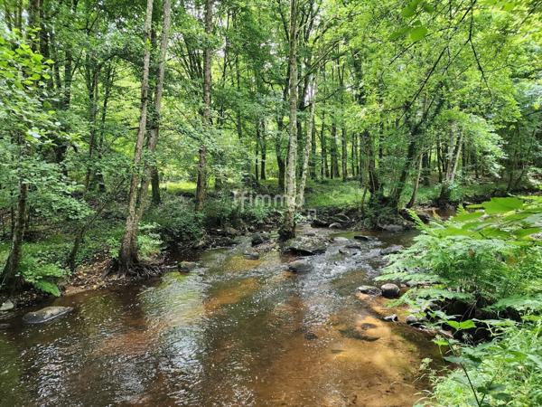 Maison rénovée avec du charme