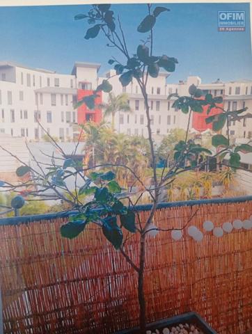 Appartement T3 Lumineux