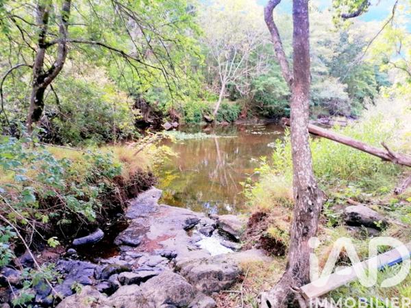 Terrain à vendre 7 548 m² L'Isle-Jourdain