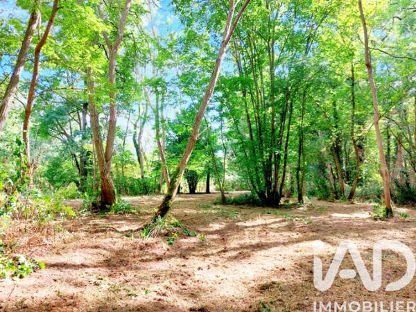 Terrain à vendre 7 548 m² L'Isle-Jourdain