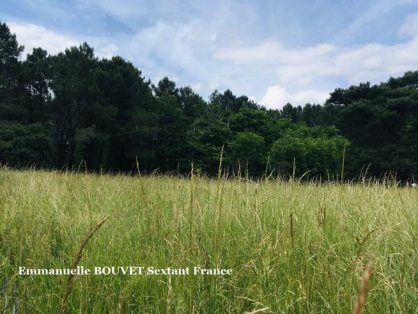 Terrain constructible avec bois sur plus de 2 hectares