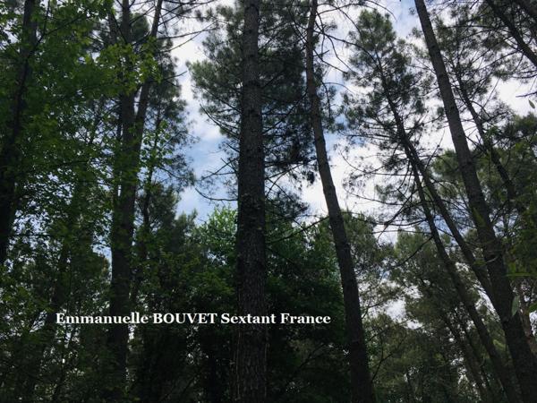 Terrain constructible avec bois sur plus de 2 hectares