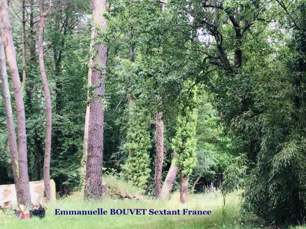 Terrain constructible avec bois sur plus de 2 hectares