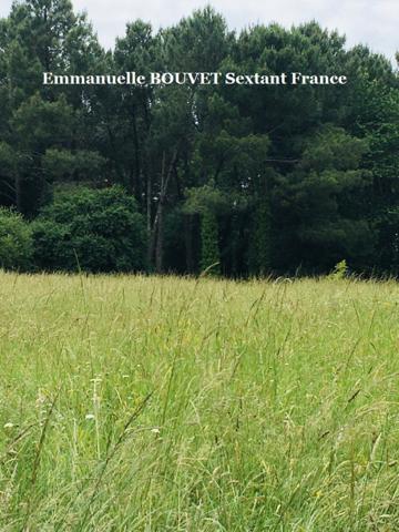 Terrain constructible avec bois sur plus de 2 hectares