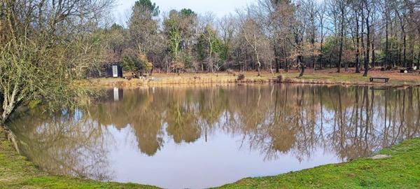 Maison à vendre |  Saint-Aigulin |  7 pièces | 155 m²