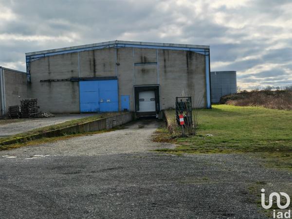 Murs commerciaux  à vendre 9 200 m² Tricot