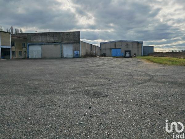 Murs commerciaux  à vendre 9 200 m² Tricot