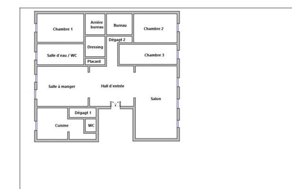 Appartement bourgeois de 226 m² avec réception de 100 m²