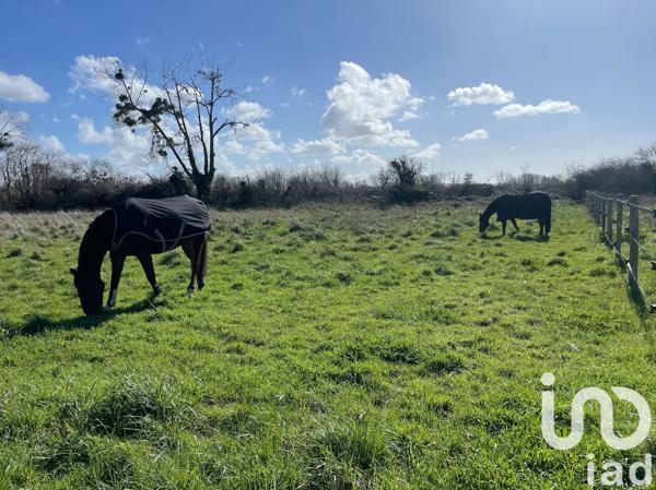 Maison à vendre 8 pièces 250 m² Agon-Coutainville