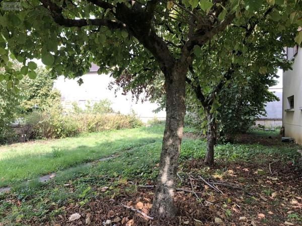 Maison à vendre à Chasseneuil-du-Poitou dans la Vienne (86360), ref : 018/1005.2