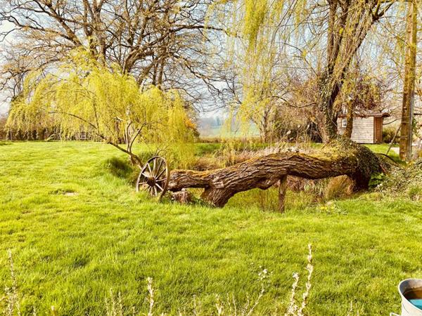 Charmante maison de type ferme bressane -  3 pièces + maisonnette à Romenay