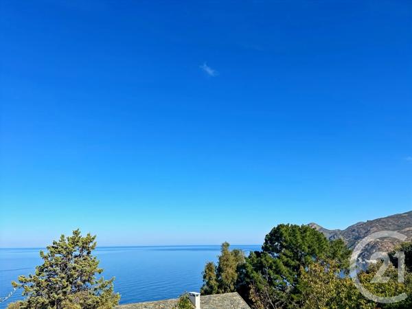 Terrain à vendre  1271 m 2   BARBAGGIO  - 202