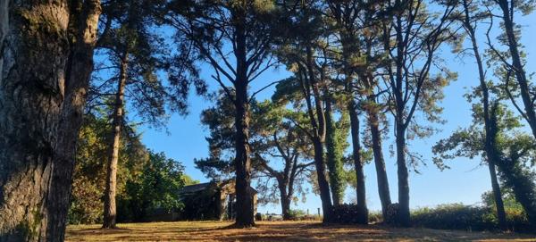 Maison Coueron 8 pièce(s) 166 m2