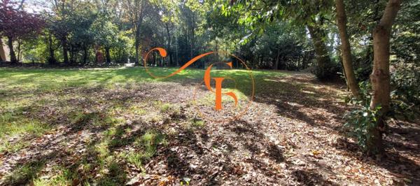 Terrain constructible