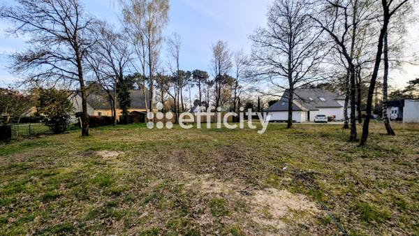 Terrain - 650 m²