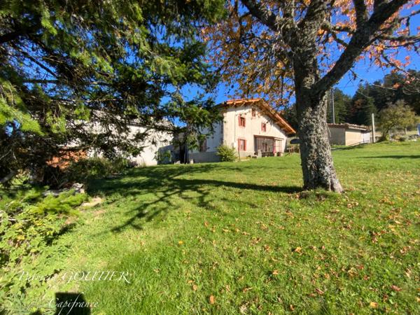 A LA CHAMBA ( 42 ). MAISON de CAMPAGNE avec ses DEPENDANCES - TERRAIN de 5000 m2 - CAVE A FOURME