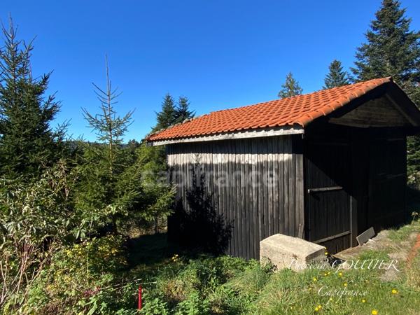 A LA CHAMBA ( 42 ). MAISON de CAMPAGNE avec ses DEPENDANCES - TERRAIN de 5000 m2 - CAVE A FOURME