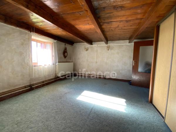 A LA CHAMBA ( 42 ). MAISON de CAMPAGNE avec ses DEPENDANCES - TERRAIN de 5000 m2 - CAVE A FOURME