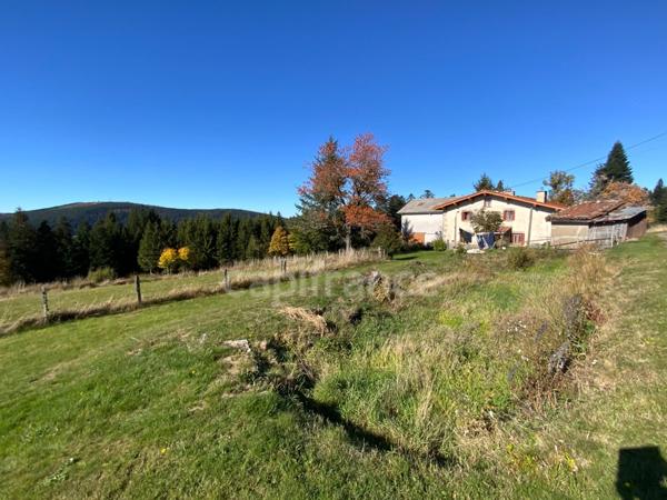 A LA CHAMBA ( 42 ). MAISON de CAMPAGNE avec ses DEPENDANCES - TERRAIN de 5000 m2 - CAVE A FOURME