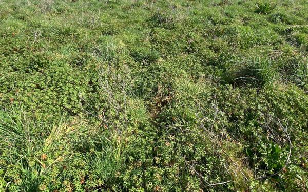 Terrain à vendre    La Ville-Dieu-du-Temple