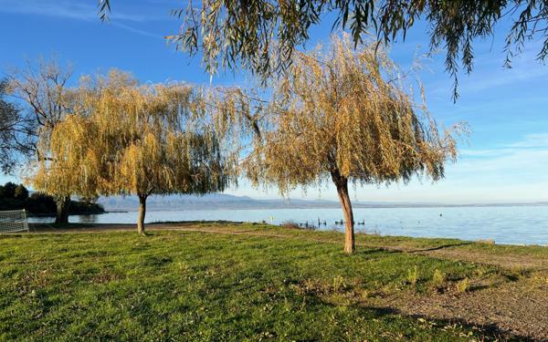 Appartement à vendre    4 pièces •  Sciez