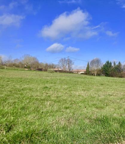 Vente / Terrain constructible