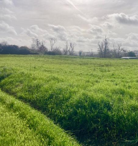 Vente / Terrain constructible