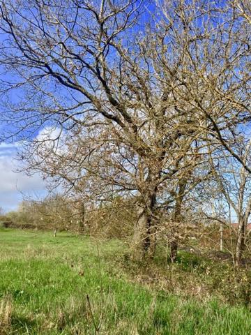 Vente / Terrain constructible