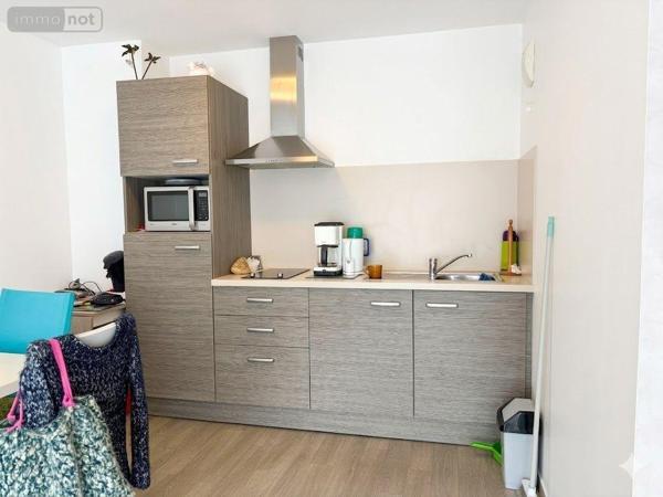Appartement à vendre à Landerneau dans le Finistère (29800), ref : 29162/43