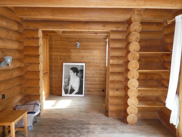 LA BRESSE (88) magnifique chalet Finlandais à vendre T7 de 160m² terrain 1480m².