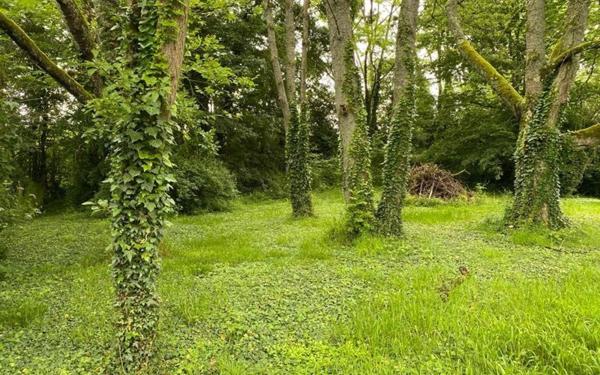 Maison à vendre    5 pièces •  Domptin