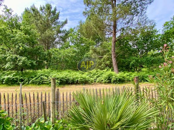 Vente maison Hourtin : 388 000 € - AJP Hourtin Immobilier