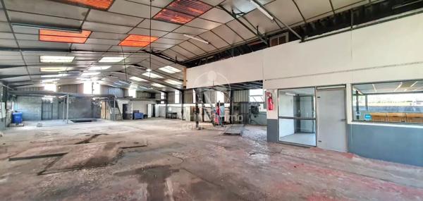 Vente Local commercial 10 pièces 610 m2 à Déville-Lès-Rouen
