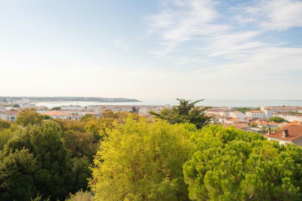 Royan ! Les pins d’abord, la mer ensuite…