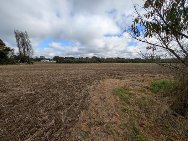 Longère en pierre avec dépendances sur 5 hectares – Charme et potentiel à la campagne