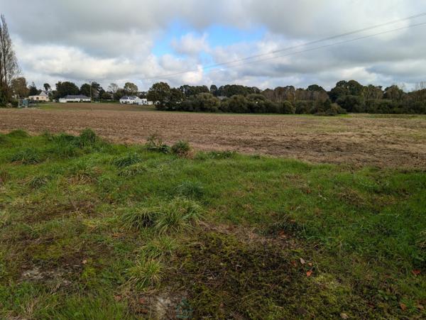 Longère en pierre avec dépendances sur 5 hectares – Charme et potentiel à la campagne