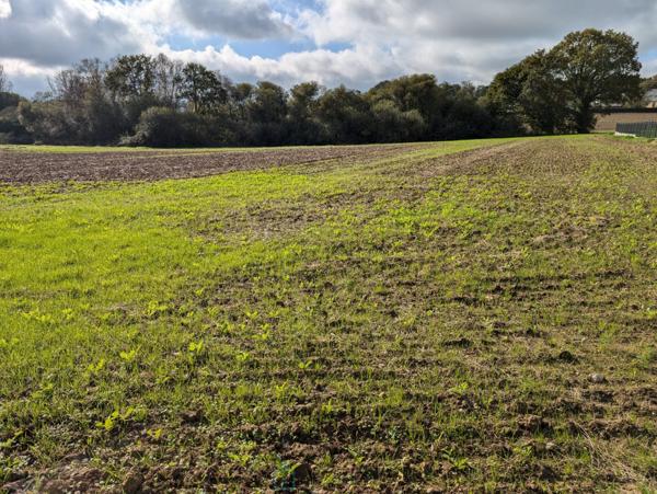 Longère en pierre avec dépendances sur 5 hectares – Charme et potentiel à la campagne
