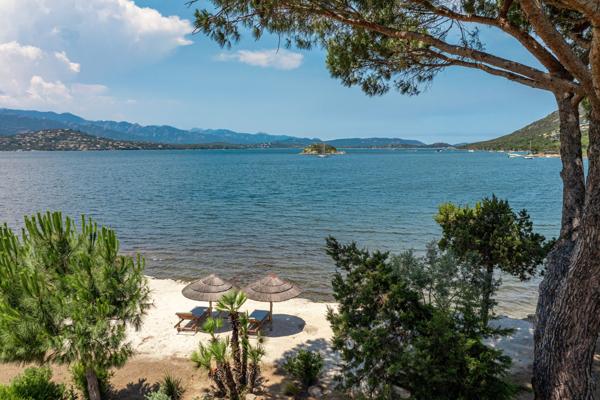 Vente Villa de luxe Porto-Vecchio 6 Pièces 250 m²