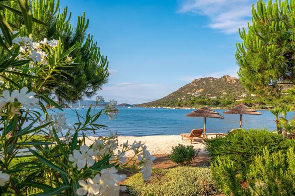 Vente Villa de luxe Porto-Vecchio 6 Pièces 250 m²