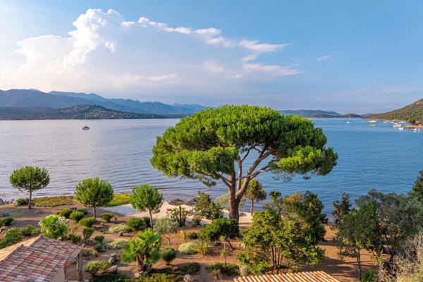 Vente Villa de luxe Porto-Vecchio 6 Pièces 250 m²