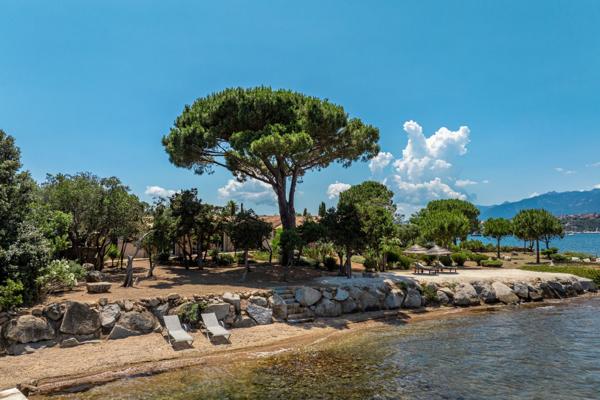 Vente Villa de luxe Porto-Vecchio 6 Pièces 250 m²