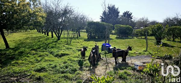 Maison à vendre 7 pièces 115 m² Bouguenais