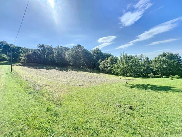 Vente Terrain 3113 m2 à Coux Et Bigaroque-Mouzens