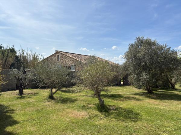 Théziers (30390) Propriété de charme + loft en pierre indépendant sur terrain arboré de 5000 m² avec oliveraie